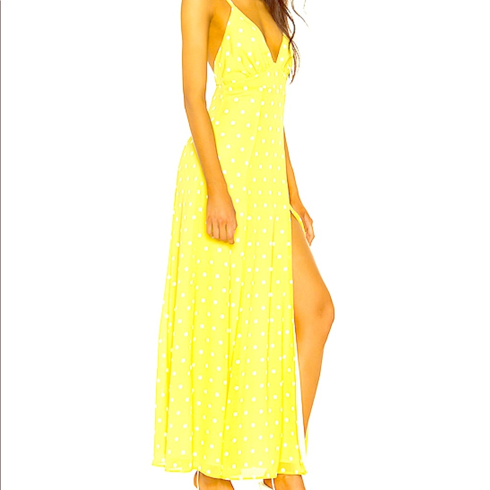 PRIVACY PLEASE Tatiana maxi dress